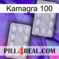 Kamagra 100 17